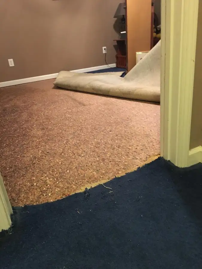 Carpet pad removal revealing water damage during Drying & Dehumidification in Kannapolis