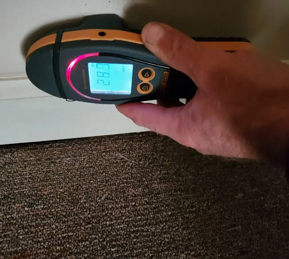 Moisture detection at baseboard during Sewage Cleanup & Sanitation in Kannapolis